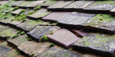 Malpas roof repair costs